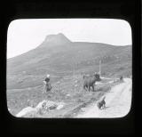 Cul Beag, woman and cattle