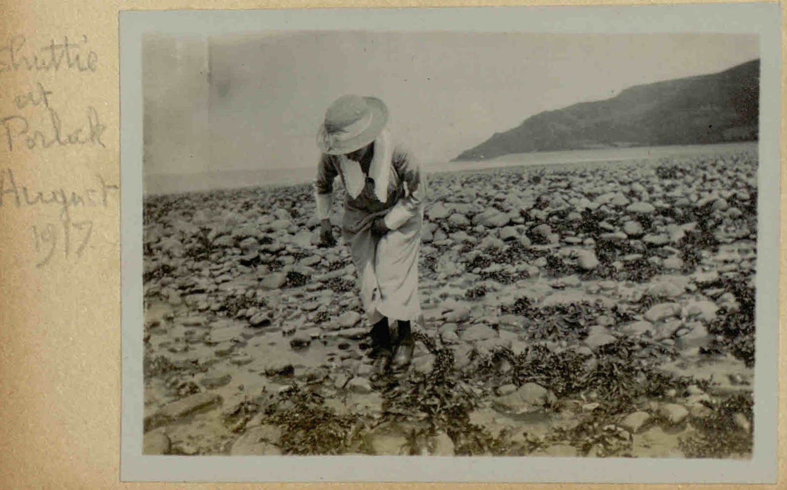 Photograph of 'Shuttie' on Porlock beach, 1917