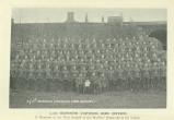 [1914] 2/5th Seaforths (Caithness Home Defence)