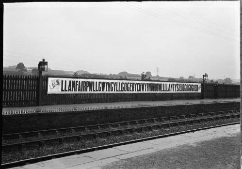 Llanfairpwllgwyngyllgogerychwyrndrobwllllantysiliogogogoch station (MSS.328/C/12/3/15/249)