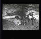 Man sleeping under tree