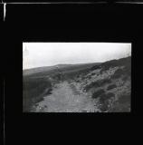 Wayfarer's ideal road. Wayfarer (W.M. Robinson) walking cycle along track