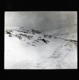 A scene of cycle tracks in a snow covered landscape