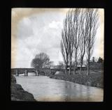 Multi-arched bridge and [poplar] trees