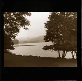 Windermere, Long Tongue