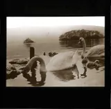 Derwentwater from Friars Crag