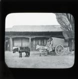 'Omnibus'