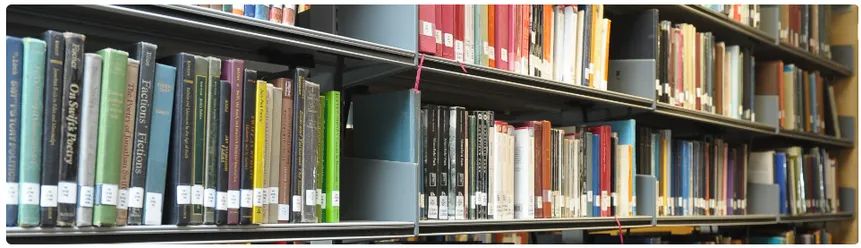 shelf of books 
