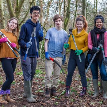 Five volunteers in Canley woods with pruning shears