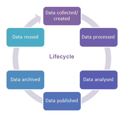 data management plan lifecycle diagram