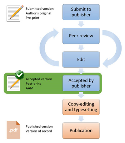 Flow diagram of article versions