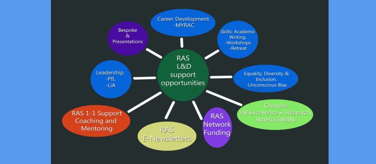 infographic of areas of support for research active staff
