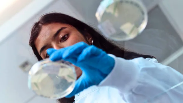 A person in a lab coat and blue gloves is holding a petri dish.