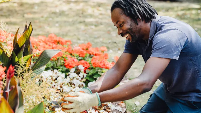 A person is wearing gardening gloves and kneeling down working with beautiful flowers.