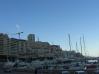 Monte Carlo Harbour late afternoon