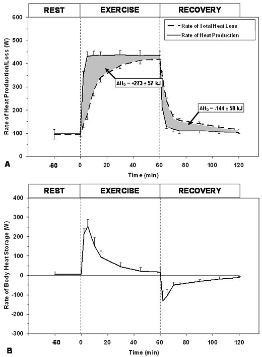 WBC calorimetry output