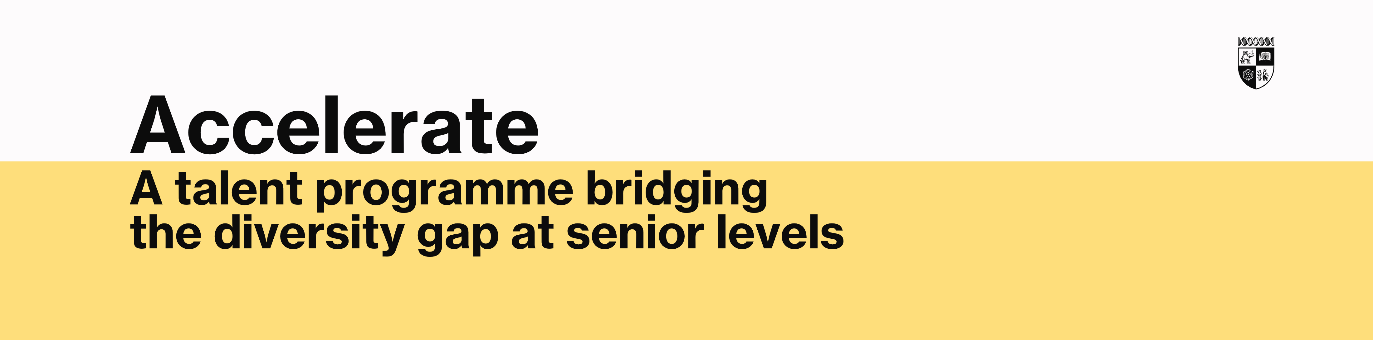 Accelerate - A talent programme bridging the diversity gap at senior levels