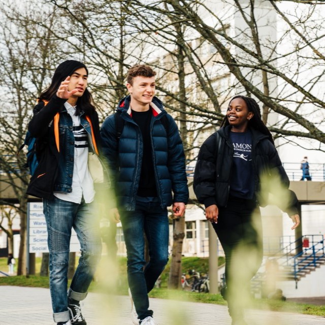 Image of 3 students walking along a paved area next to a row of trees.