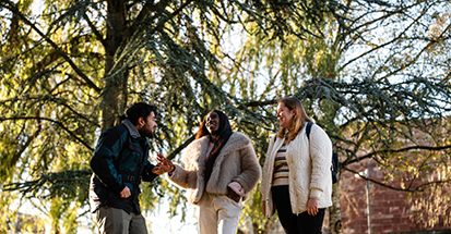 Three students in discussion under a tree