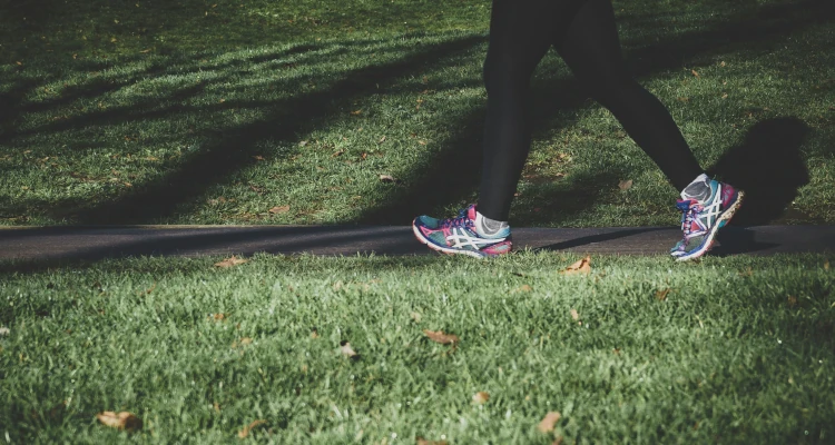 Person walking along a path