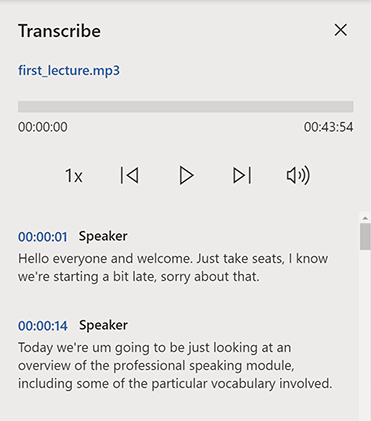 A transcription preview