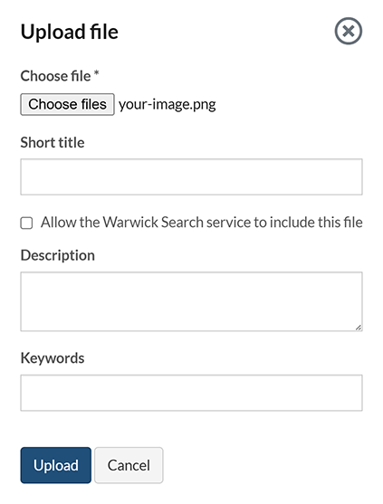 The file details popup