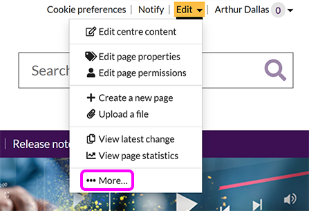 The SiteBuilder 'Edit' menu, with the 'More' option highlighted