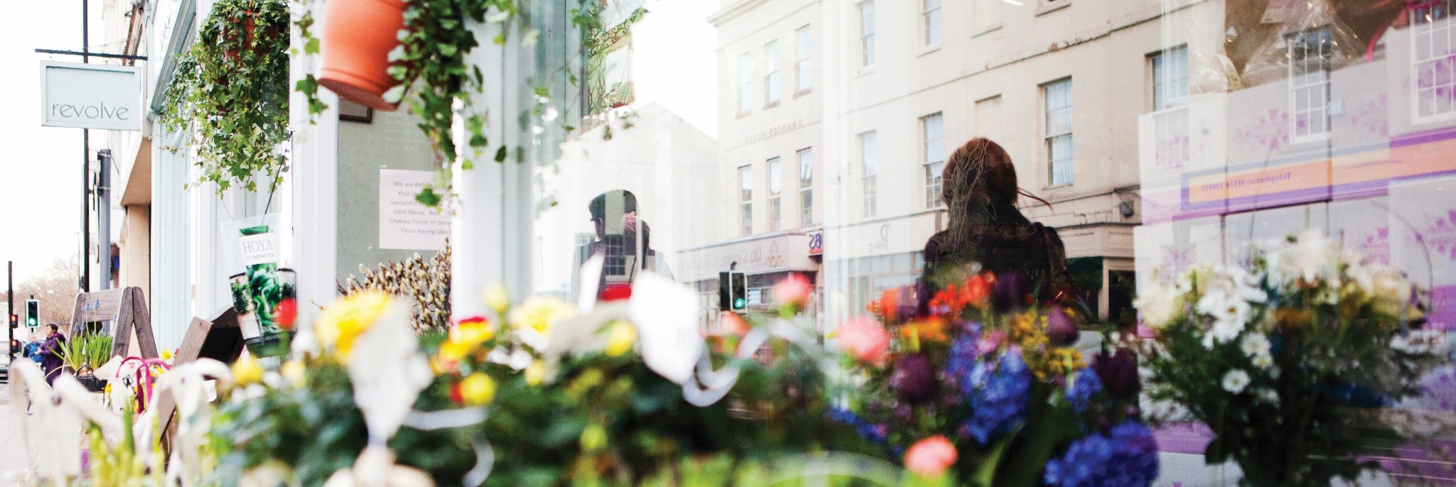 Zoomed in image of shop window with plants outside