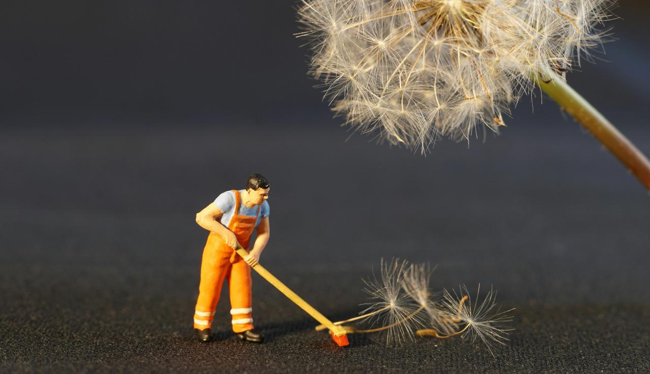 Image of a plastic cleaner sweeping up dandelion fluff
