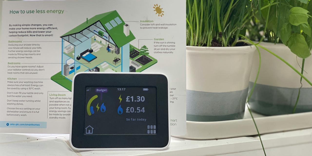 Image of a smart meter with 2 pot plants and a house diagram in the background