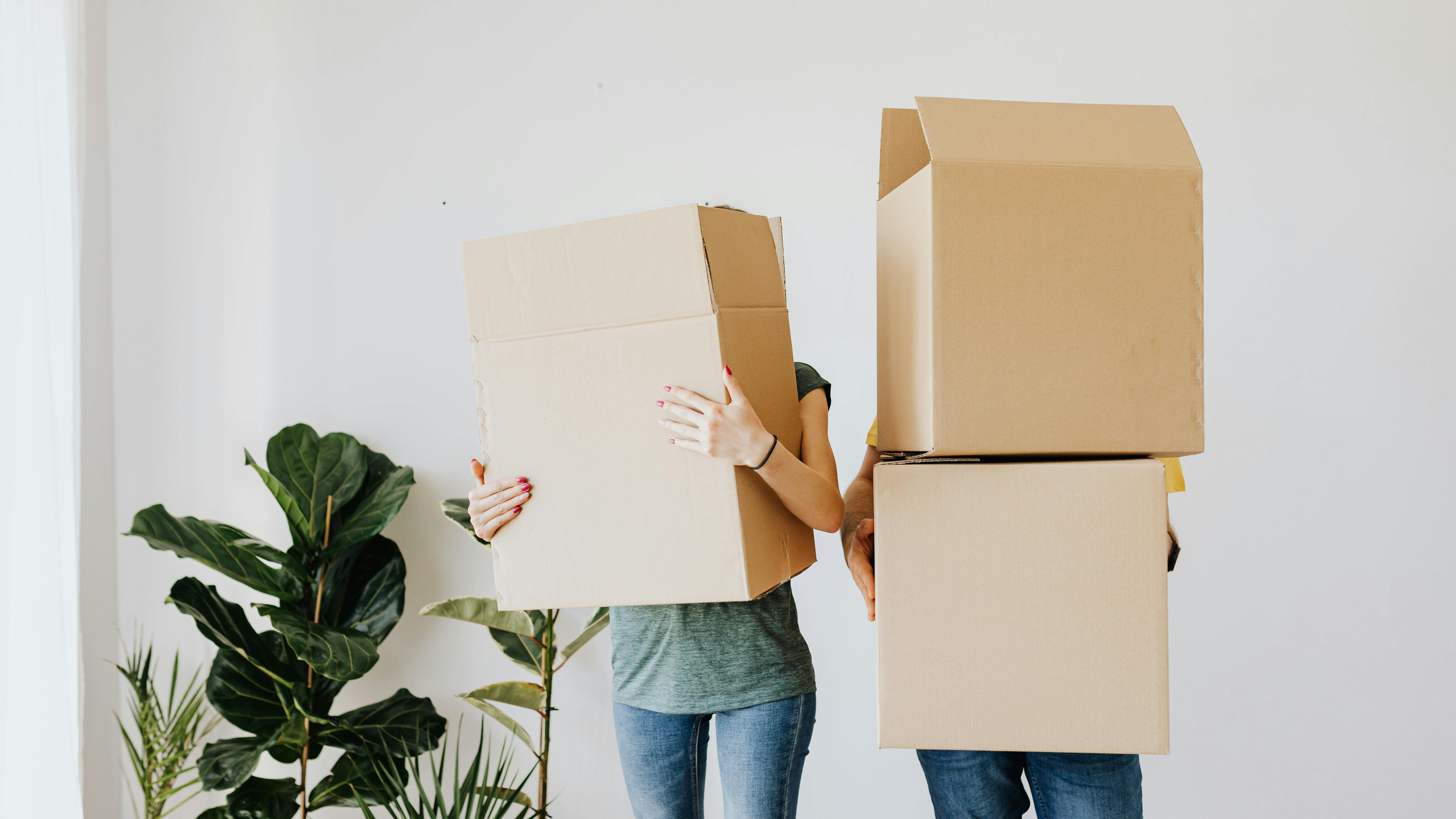 2 people holding carboard boxes next to a plant on a blank wall