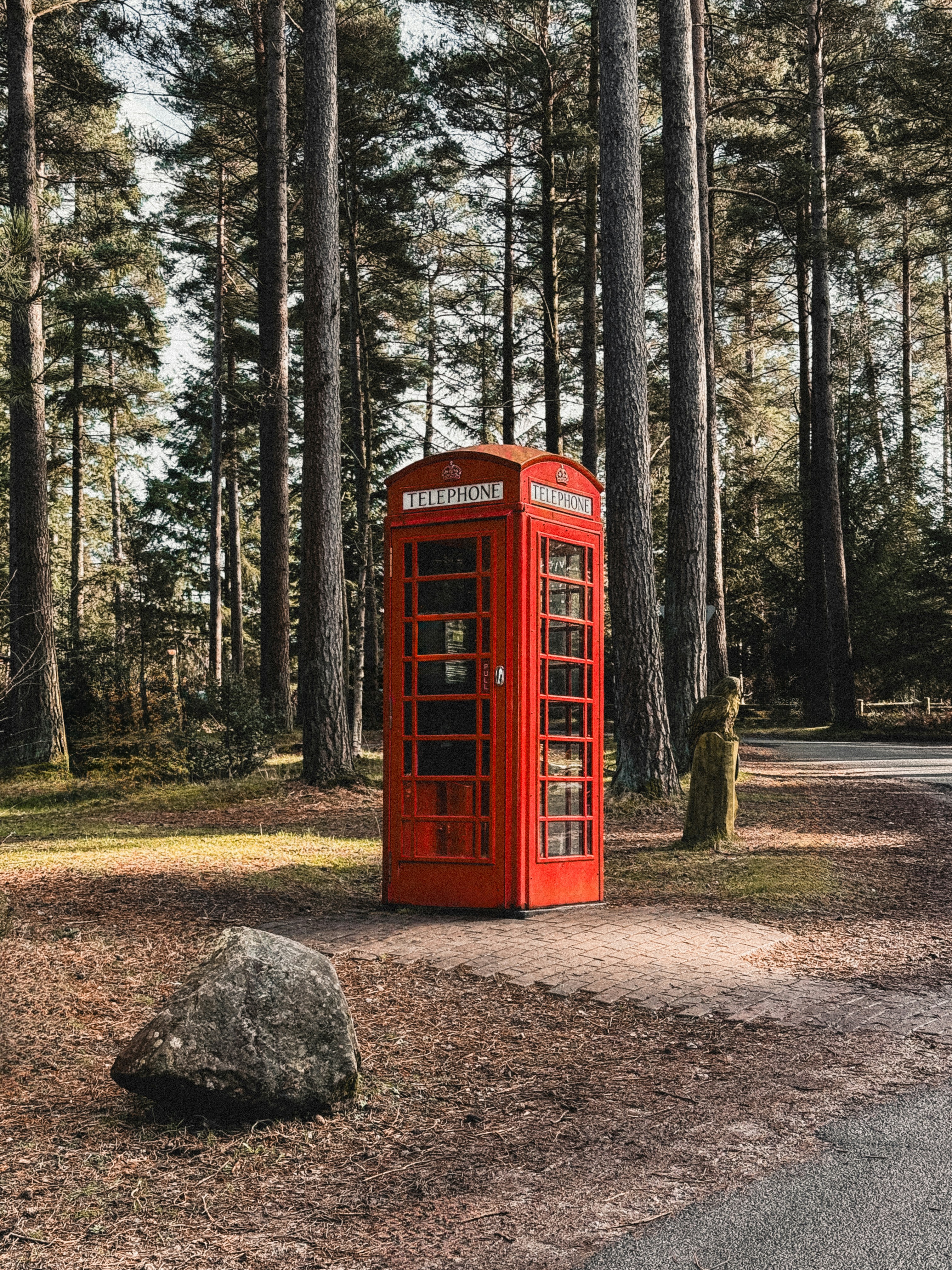 image of a red phone box in a forest setting