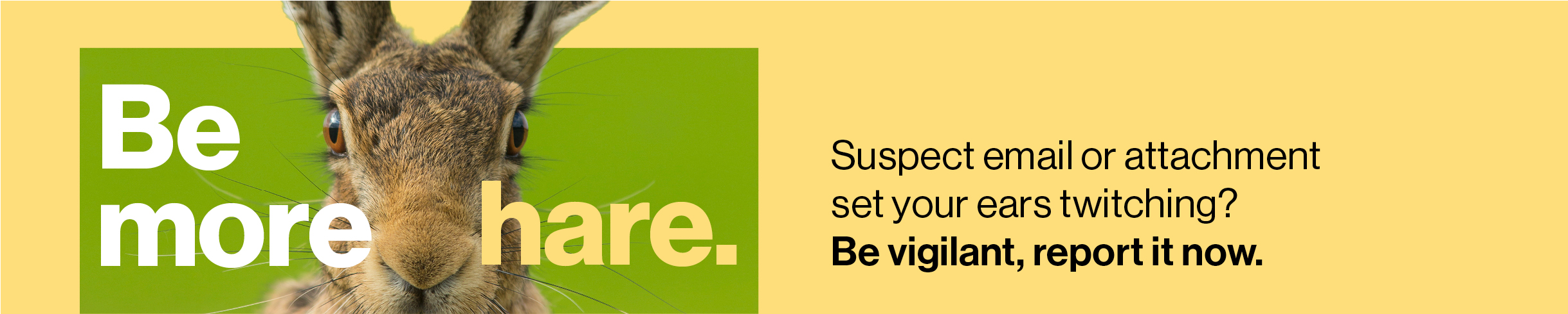 Be more hare. Suspect email or attachment got your ears twitching? Be vigilant, report it now