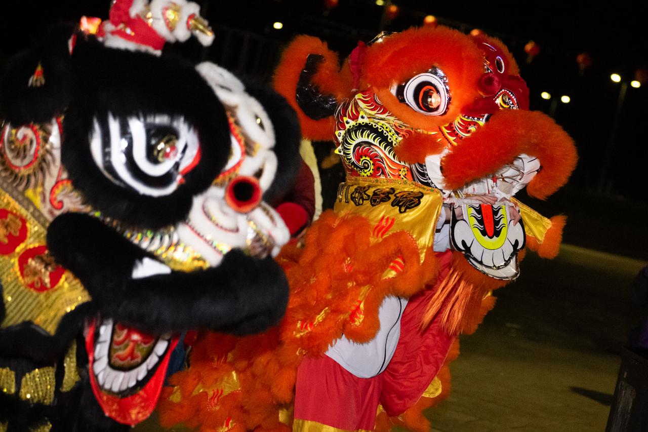 Lion Dance