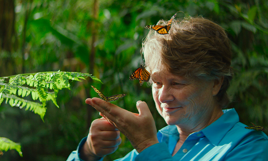Still from the film 'Going Circular' woman holds butterfly. 