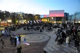 29.11.23__30_of_382.jpg