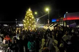 29.11.23__365_of_382.jpg