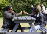 picnic_playground-137.jpg