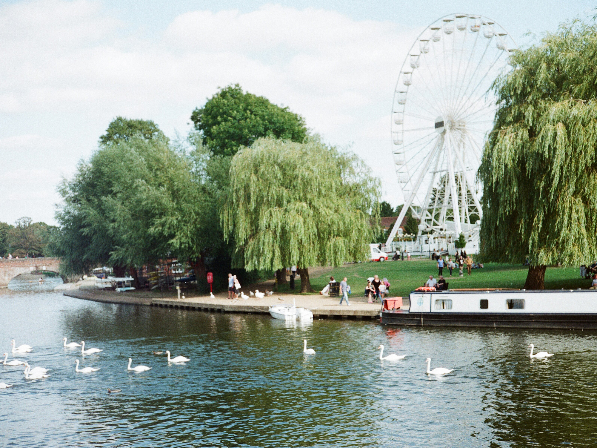 The River Avon bends through Stratford Town Centre, swans flock next to a barge, set against a backdrop of weeping willow trees and a ferris wheel.