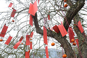 A leafless winter tree, covered in red paper wishes and oranges.
