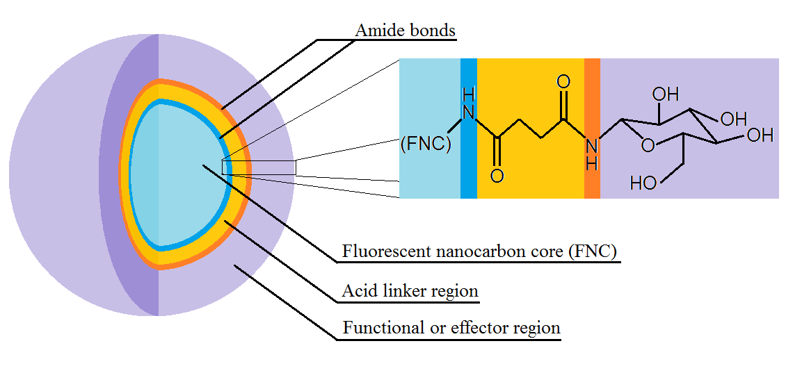 diagram of carbon nanodot
