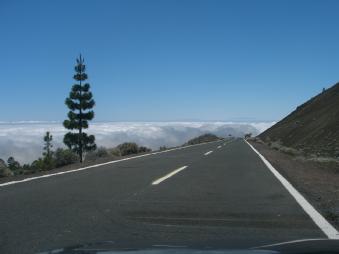 Driving above the clouds in Tenerife