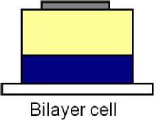 Bilayer cell