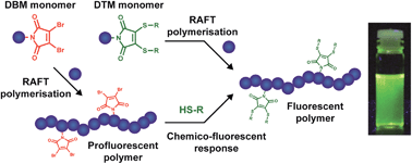  Fluorescent and chemico-fluorescent responsive polymers from dithiomaleimide and dibromomaleimide functional monomers