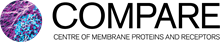 COMPARE Logo