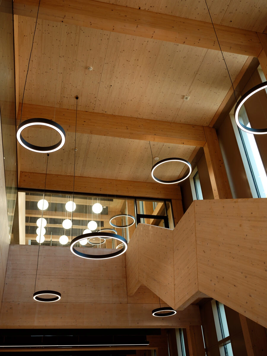 The Faculty of Arts Building, sky and the tops of trees.