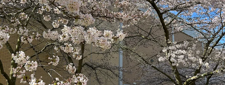 Warwick campus