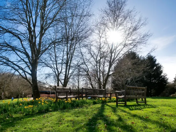 scenic view of a park on campus