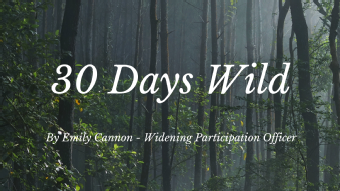 30 Days Wild Blog