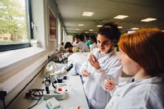 Group of female students working in a lab